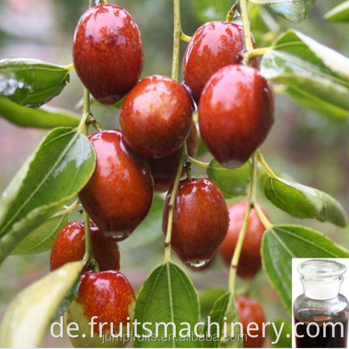 Fresh Date Syrup Production Line Price Negotiable